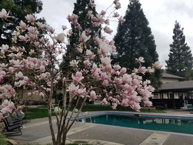 Redwood Hyperion Suites