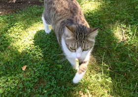 Romantic Rogue River Cottage