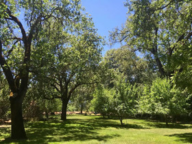 Romantic Rogue River Cottage