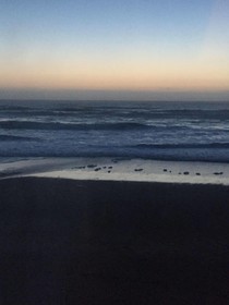 Sandcastle Beachfront Motel