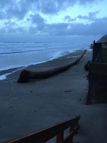 Sandcastle Beachfront Motel