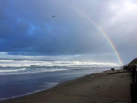 Sandcastle Beachfront Motel