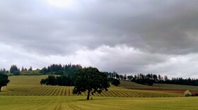 The Boutique Retreat