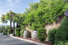 Rogue Regency Inn & Suites