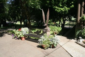 Morrison's Rogue River Lodge