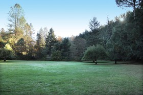 Morrison's Rogue River Lodge