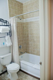 The Green Tree Hotel