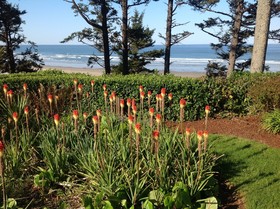 Tyee Lodge Bed and Breakfast