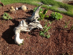 Tyee Lodge Bed and Breakfast