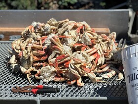 Raines Resort Cabins & RV