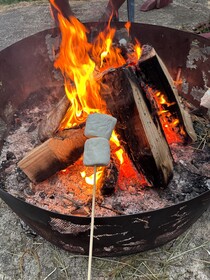 Raines Resort Cabins & RV