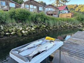 Raines Resort Cabins & RV