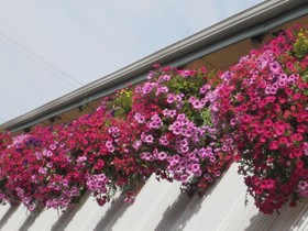 Hotel Inn Pendleton I-84