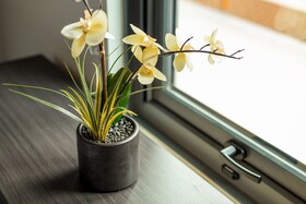 100 Walkscore Pearl District Condos By Barsala