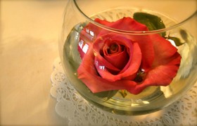 Lion and the Rose Victorian Guest House