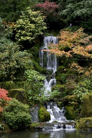 Park Lane Suites & Inn