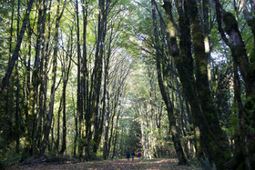 Park Lane Suites & Inn