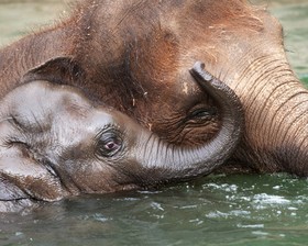 Park Lane Suites & Inn