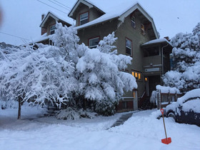 Portland International Guesthouse