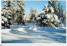 Best Western Prineville Inn