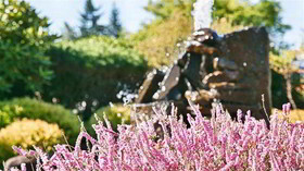 Best Western Sandy Inn