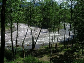 Sandy Salmon Bed & Breakfast Lodge