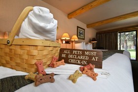 Best Western Ponderosa Lodge