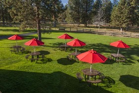 Best Western Ponderosa Lodge