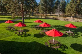 Best Western Ponderosa Lodge