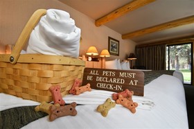 Best Western Ponderosa Lodge