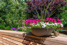 Madi's Place Guest House