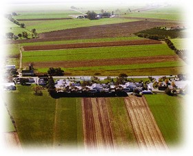 Amish View Inn and Suites