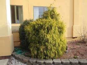 Econo Lodge Carlisle