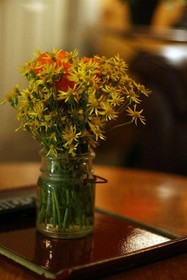 Forest Hill Inn