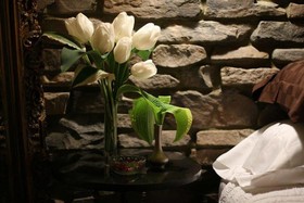 Forest Hill Inn