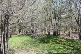 Rentals at Brier Crest Woods