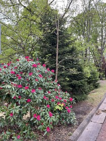 Highland Bed & Breakfast