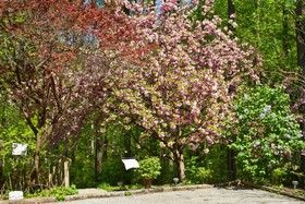 Pilgrim's Rest Bed And Breakfast