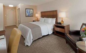 DoubleTree by Hilton Hotel Pittsburgh - Green Tree