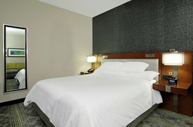 Embassy Suites by Hilton Pittsburgh Downtown