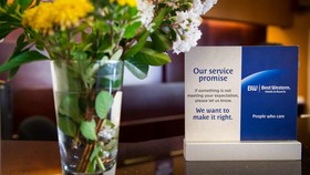 Best Western Plus Reading Inn & Suites
