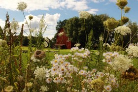 Oz's Homestay Bed & Breakfast