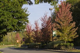 Mohegan Pennsylvan
