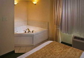 SpringHill Suites Philadelphia Willow Grove