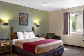 Econo Lodge Custer
