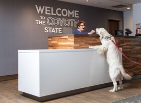 Hampton Inn & Suites Rapid City Rushmore