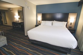 Holiday Inn Hotel & Suites Chattanooga Downtown
