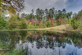 On Golden Pond