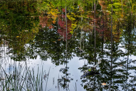 On Golden Pond