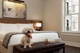 The Harpeth Franklin Downtown, Curio Collection by Hilton
